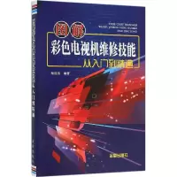 音像图解彩色电视机维修技能从入门到精通杨成伟 编著