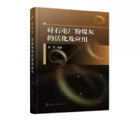 音像矸石电厂粉煤灰的活化及应用陈杰编著
