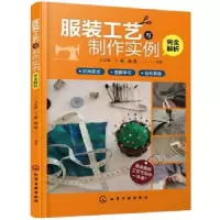音像工艺与制作实例完全解析王京菊,王健,杨挺等著