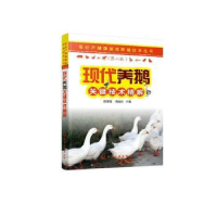 音像现代养鹅关键技术精解熊家军,杨菲菲主编