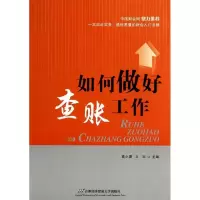 音像如何做好查账工作袁小勇//卫玉