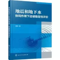 音像地震和地下水协同作用下边坡稳定评黄帅著