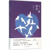 音像十三种情态邱华栋 著
