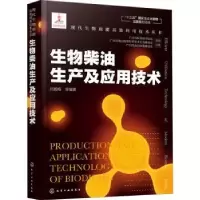 音像生物柴油生产及应用技术吕鹏梅等编著