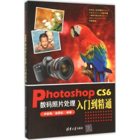 音像Photoshop CS6数码照片处理入门到精通尹新梅,施霁耘 编著