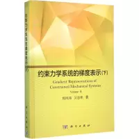 音像约束力学系统的梯度表示梅凤翔,吴惠彬 著