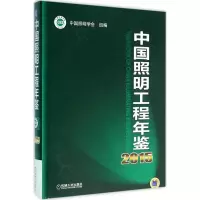 音像中国照明工程年鉴2015中国照明学会 组编