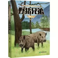 音像野猪兄弟王焱
