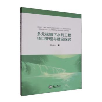 音像多元视域下水利工程项目管理与建设探究孙祖金著