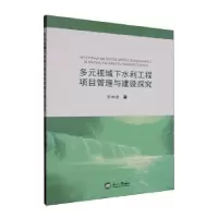音像多元视域下水利工程项目管理与建设探究孙祖金著