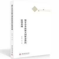 音像铸牢中华民族共同体意识的法理基础何士青等著