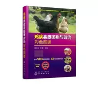 音像鸡病类症鉴别与诊治彩色图谱孙卫东,李银主编
