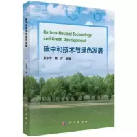 音像碳中和技术与绿色发展孙东平,黄洋编著