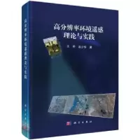 音像高分辨率环境遥感理论与实践王桥,赵少华著