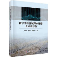 音像数字孪生流域降水遥感及动态评价冶运涛,董甲平,顾晶晶等著