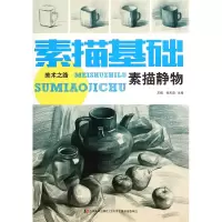 音像素描基础(素描静物)/美术之路编者:王婧//张天爽