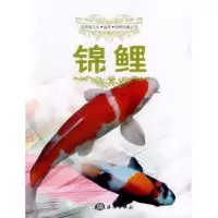 音像锦鲤刘雅丹,白明编著