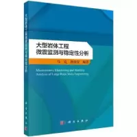 音像大型岩体工程微震监测与稳定分析马克,唐春安编著