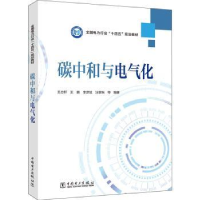音像碳中和与电气化王志轩[等]编著