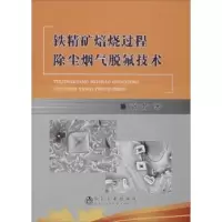 音像铁精矿焙烧过程除尘烟气脱氟技术张芳著