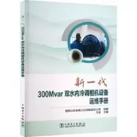音像新一代300Mvar双水内冷调相机设备运维手册马龙主编