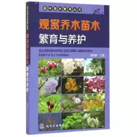 音像观赏乔木苗木繁育与养护/园林苗木繁育丛书编者:郑志新