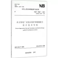 音像水力发电厂过电压保护和绝缘配合设计技术导则能源局 发布