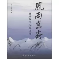 音像风雨昆仑杜斌国 著