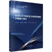 音像雷击作用下典型复合材料结构的多场耦合效应王富生[等]著