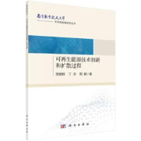 音像可能源技术创新和扩散过程周德群,丁浩,周鹏著