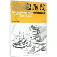 音像结构素描/起跑线美术基础教学丛书胡丹