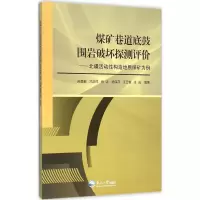 音像煤矿巷道底鼓围岩破坏探测评价芮勇勤 等 编著