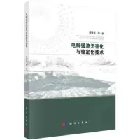 音像电解锰渣无害化与稳定化技术舒建成等著