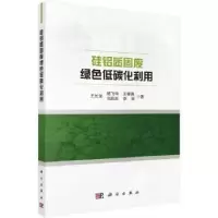 音像硅铝质固废绿色低碳化利用王长龙[等]著