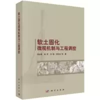音像软土固化微观机制与工程调控(精)邓永锋等著
