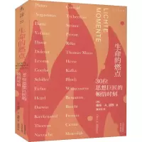 音像生命的燃点 30位思想巨匠的顿悟时刻(德)奥托·A.波默