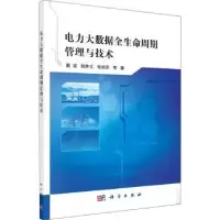 音像电力大数据全生命周期管理与技术戴波,钱仲文,等著