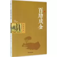 音像百励成金吕广华,刘坌 著