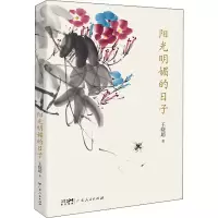 音像阳光明媚的日子王晓超