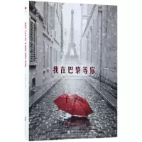 音像我在巴黎等你顾溆赜