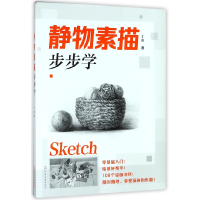 音像静物素描步步学丁方