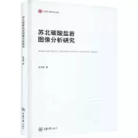 音像苏北碳酸盐岩图像分析研究匡鸿海著