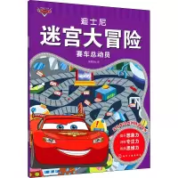 音像迪士尼迷宫大冒险 赛车总动员沐渔文化编