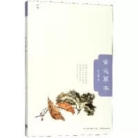 音像舌尖草木/知味许石林