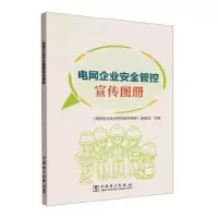 音像电网企业安全管控宣传图册王爱华主编