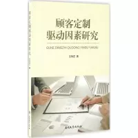 音像顾客定制驱动因素研究王艳芝 著
