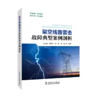 音像架空线路雷击故障典型案例剖析谷山强等编著