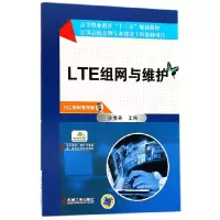 音像LTE组网与维护(高等职业教育十三五规划教材)编者:孙秀英