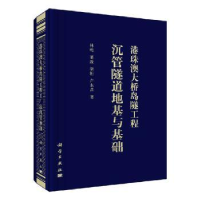 音像港珠澳大桥岛隧工程沉管隧道地基与基础林鸣[等]著