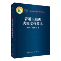 音像管道大数据决策支持技术董绍华,张河苇等著